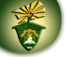 Caraga State University Information System logo
